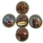 Magnet Set 01 Memories Fluorite Lapis Peridot Sodalite Elephant Beaver 5 Crystals