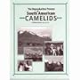 The reproductive process of South American camelids