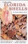 Collectible Florida Shells