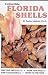 Collectible Florida Shells