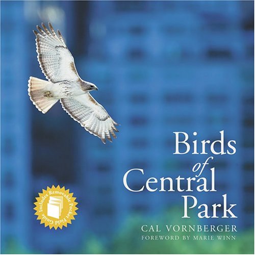 birds of central park