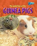 The wild side of pet guinea pigs