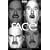 The Human Face