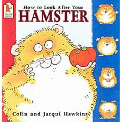 How To Look After Your Hamster
