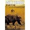 Multicultural Books for Adolescents