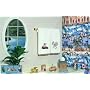 Surfing Shower Curtain (Surfin' Safari)