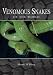 Venomous Snakes of the World