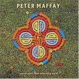 Begegnungen Live - Peter Maffay