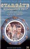 Review MGM Domestic Television Distribution  / Stargate SG-1