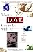 Search : What’s Love Got to Do with It?
