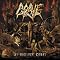 Bands that recently discovered blast beats