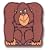 Do You Know About Gorillas?
