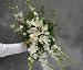 Cascading Orchid Bridal Bouquet