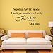 Newsee Decals The Past can Hurt, but The Way I See it, You can Either Run from it or Learn from it -Lion King Vinyl Wall Art Inspirational Quotes and Saying Home Decor Decal Sticker