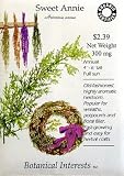 Sweet Annie Certified Organic Heirloom Seeds 500 Seeds