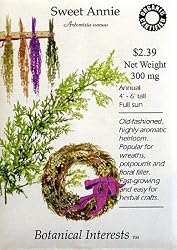 Sweet Annie Seeds