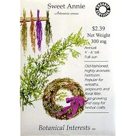 Sweet Annie Certified Organic Seeds