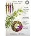 Sweet Annie Certified Organic Seeds