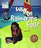 Why do raindrops fall? : and other questions about water and weather