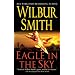 Eagle in the Sky