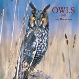 Owls 2009 Wall Calendar