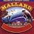 Mallard/In a Different Climate