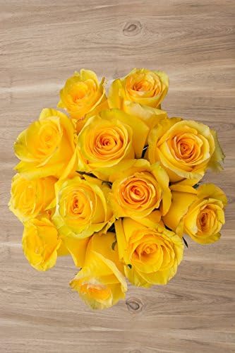 36 Stems - Fresh Cut Yellow Rose Bouquet from Flower Explosion