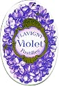 Flavigny Violet Pastilles - Retro Tin