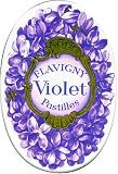 Flavigny Violet Pastilles - Retro Tin