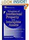 Valuation of Intellectual Property and Intangible Assets, 3rd Edition