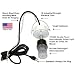 Evictor Strobe Light 10K