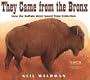 They Came from the Bronx: How the Buffalo Were Saved from Extinction