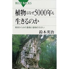 �A���͂Ȃ�5000�N��������̂��\��������݂������ƐA���̂����� (�u���[�o�b�N�X)