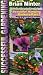 Successful Gardening Hanging Baskets - Care and Feeding, Vol. 2 [VHS]