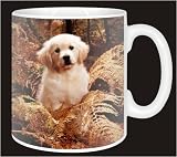 Review Advanta  / GOLDEN RETRIEVER PUP/GOLD FERNS Coffee Mug