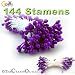 Bundle of 144 Double End Pearl Stamens 3mm Head 2in long Purple