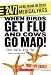 Search : When Birds Get Flu and Cows Go Mad!: How Safe Are We? (24/7: Science Behind the Scenes)
