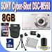 Sony Cyber-Shot DSC-W560 14.1 MP Digital Still Camera with Carl Zeiss Vario-Tessar 4x Wide-Angle Optical Zoom Lens and 3.0-inch LCD (Silver) with 8GB Accessory Kit