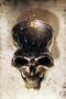 Ghost Rider Trail of Tears Poster
