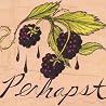 Image of album by Perhapst