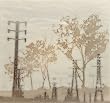 Black Towers / Eucalyptus