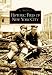 Books : Historic Fires of New York City (Images of America)