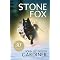 Books for Boys Grades 1-3