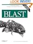 Blast