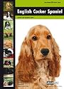 English Cocker Spaniel: Dog Breed Expert Series