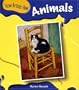 Animals (How Artists View)
