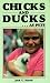 Chicks and Ducks...
