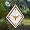 Texas Longhorns