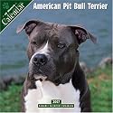 American Pit Bull 2007 Wall Calendar