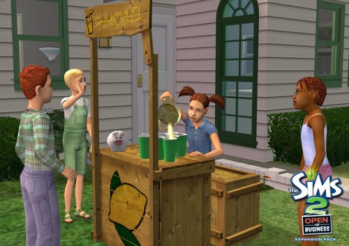 The Sims 2: Open for Business Expansion Pack image